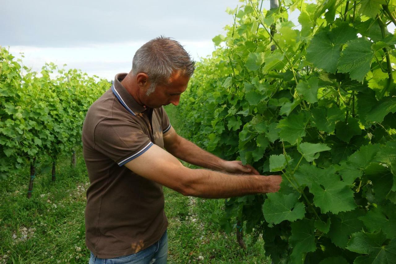 Agriturismo Le Giarine Fogliano Redipúglia Eksteriør billede
