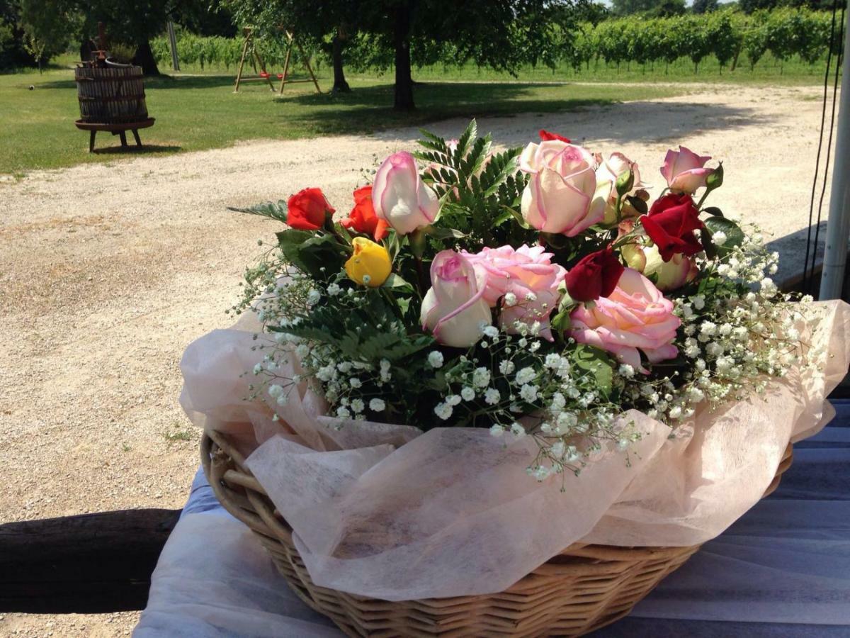 Agriturismo Le Giarine Fogliano Redipúglia Eksteriør billede