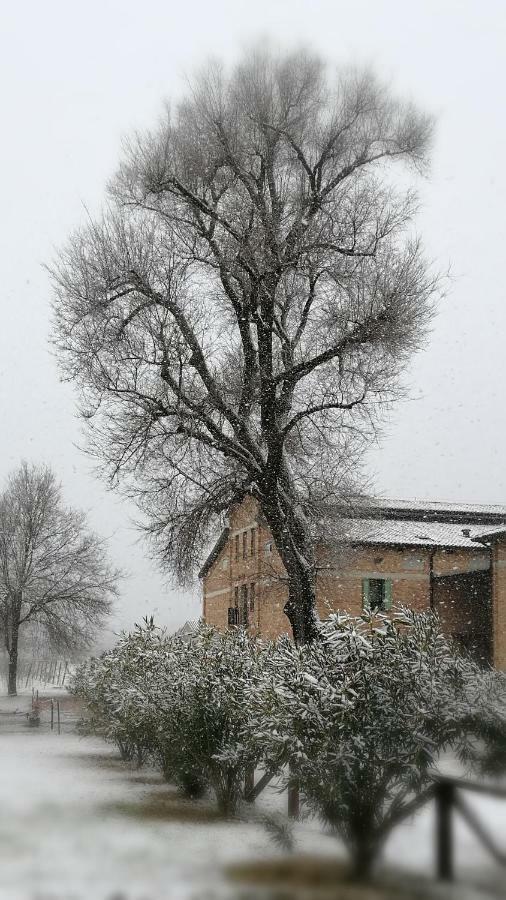 Agriturismo Le Giarine Fogliano Redipúglia Eksteriør billede